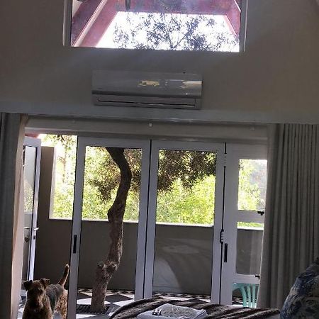 Bella Blue Guesthouse Bloemfontein Luaran gambar