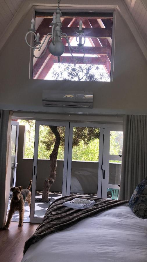 Bella Blue Guesthouse Bloemfontein Luaran gambar